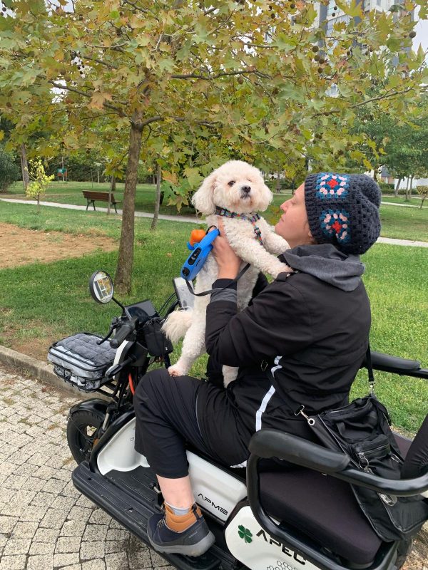 Buddy ile motor gezisi
